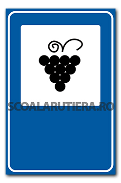 Centru viticol 