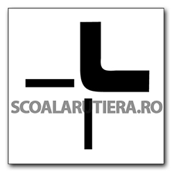 Direcția drumului cu prioritate