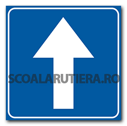 Indicatoare Rutiere Sens Unic