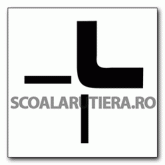 Direcția drumului cu prioritate