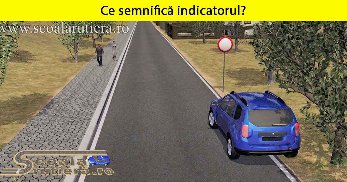 Chestionare auto: Ce semnifică indicatorul